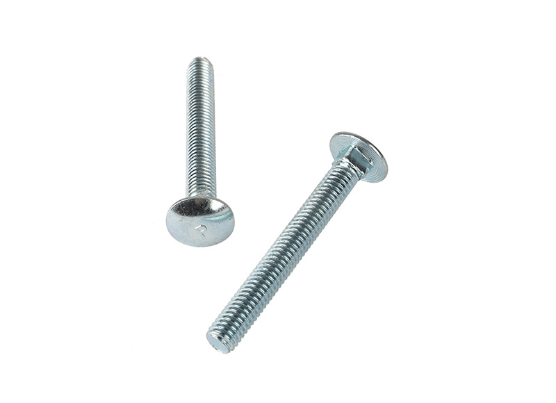 Carriage bolt