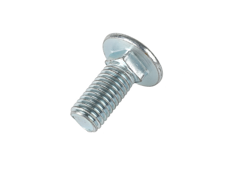 Carriage bolt