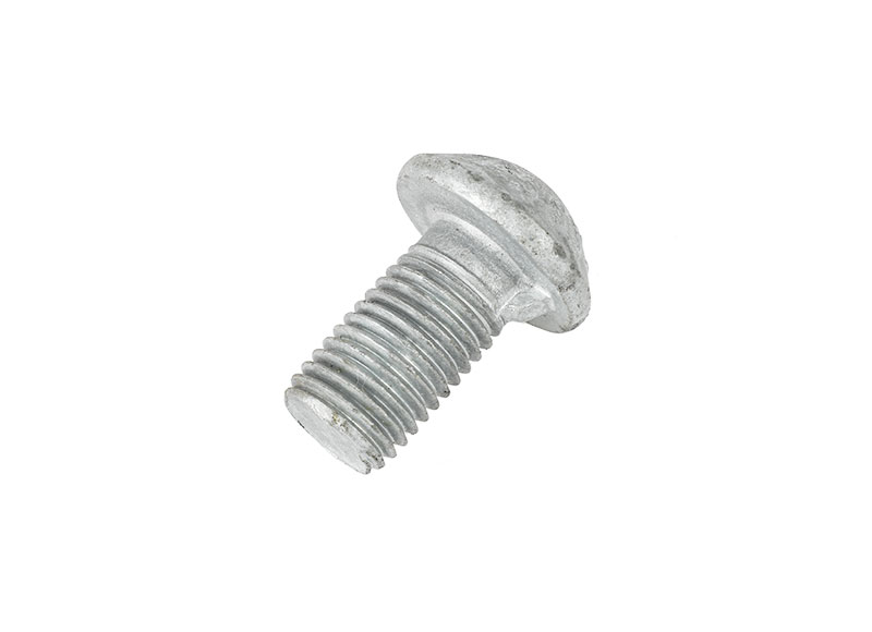 Round head bolt