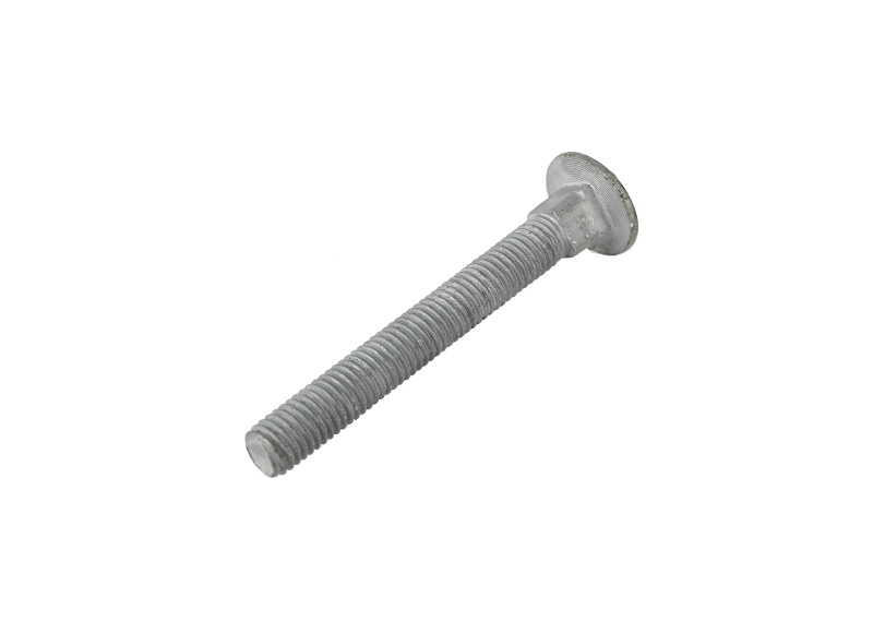 Carriage bolt