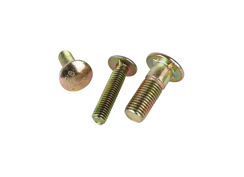 Round head bolt