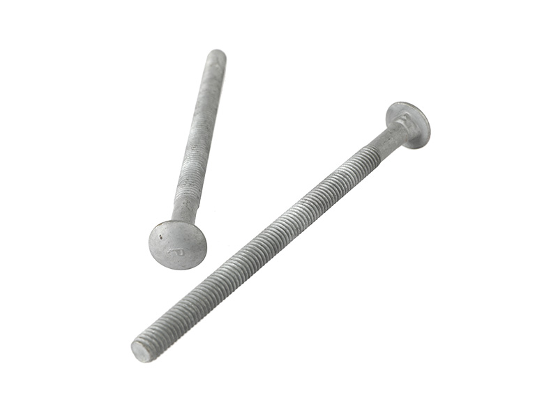 Carriage bolt