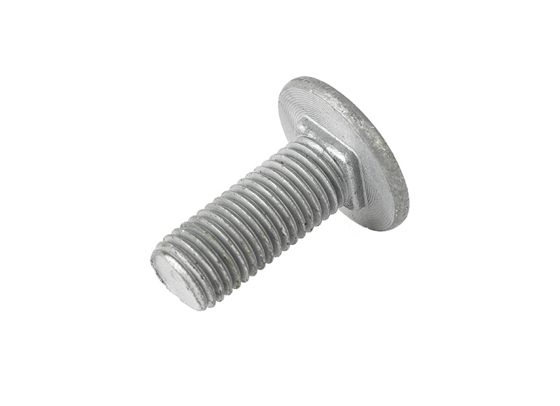 Carriage bolt