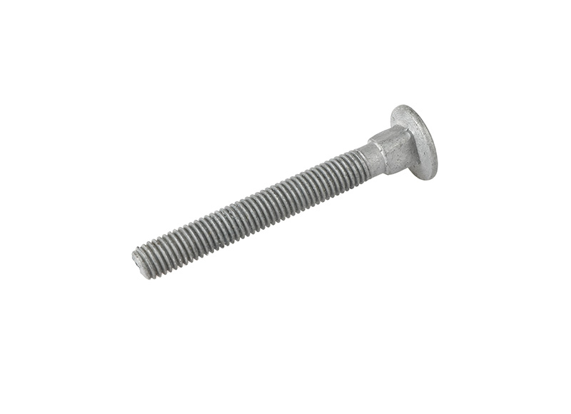 Carriage bolt