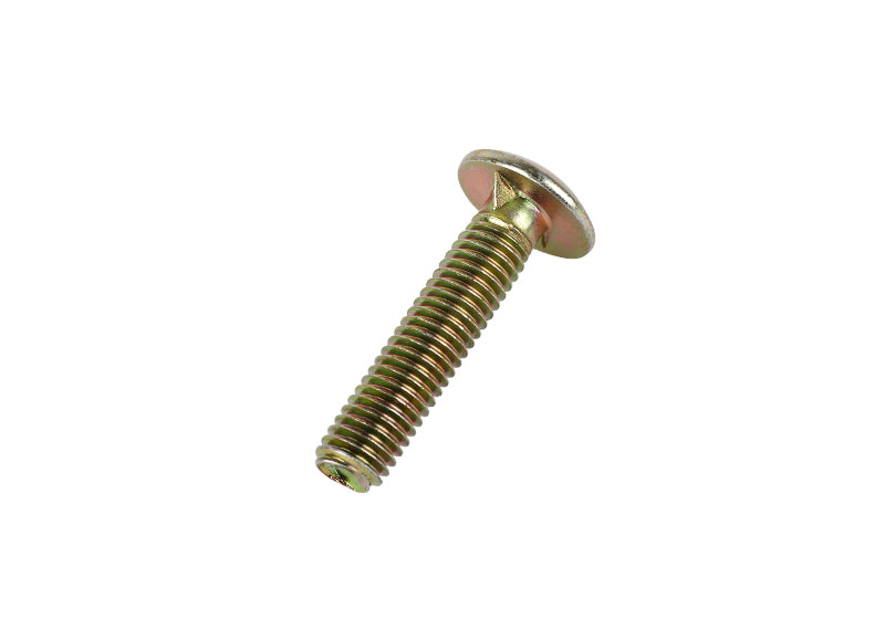 Round head bolt